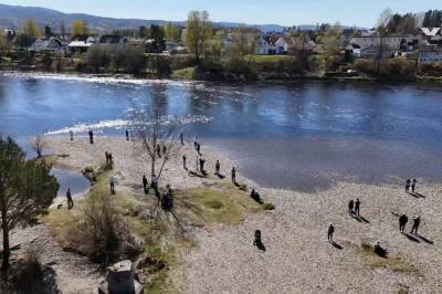 VG leter etter hvithvalen