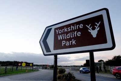 Mann drept av tiger i britisk dyrepark