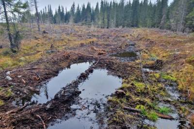 Hva vi mister når vi mister natur