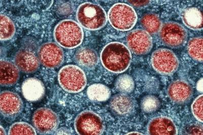 Har kommet til Danmark