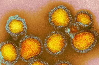 Derfor er influensa-viruset spesielt i år