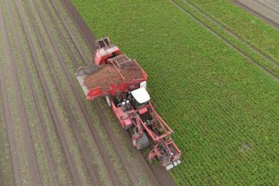 Vil plasforbruket til livs med å bruke norske landbruksrester