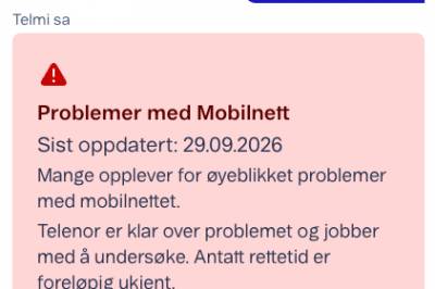 Flere melder om store problemer hos Telenor