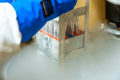 Flere får kunstig befruktning