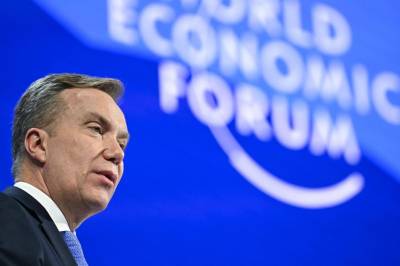 Vil granske Børge Brende