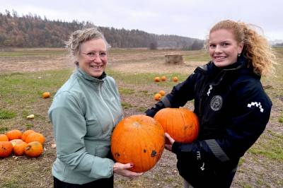 Forskere med mattips: Ikke kast innmaten når du lager halloween-gresskar