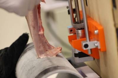 Å sette fast tunga. Vitenskapen bak en veldig kald tabbe