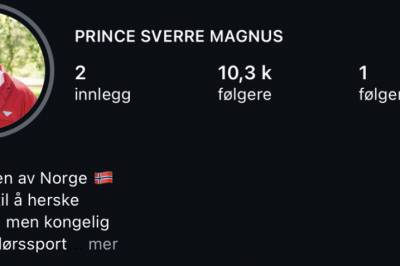 Slottet reagerer: - Falsk