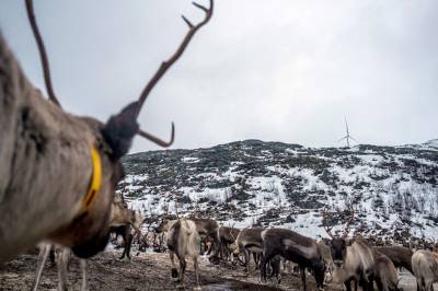 Dilemma for grønn omstilling: – Det er ironisk at urfolk og minoriteter som har hatt minst klimaavtrykk, ofte er de som blir mest utsatt for konsekvensene