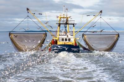 Hvordan kan vi bygge fiske­båter på en smartere måte?