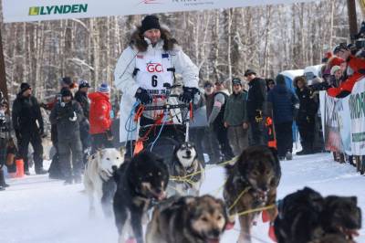 Røkke kan ikke kaste bort mer tid på hundekjøring nå