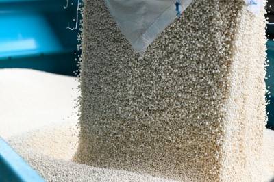 Slår alarm om globalt matsjokk