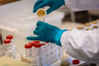 Norge mangler eksperter på miljøgifter: – Alvorlig situasjon