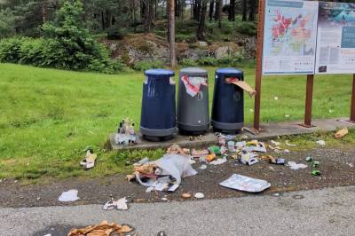 Vegvesenet fortviler: – Motbydelig