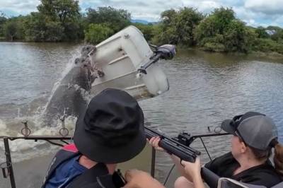 Flodhest gikk til angrep