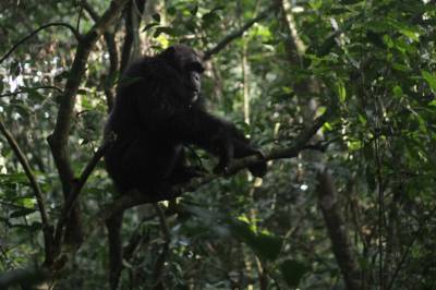 Etter fire år kom gjennombruddet