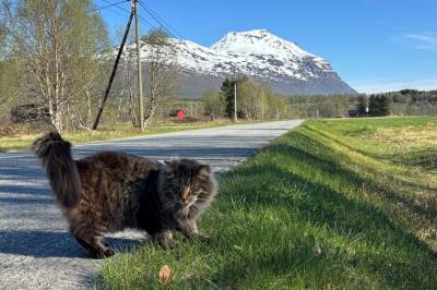 Her kan det bli sommartemperatur i dag – men så snur det