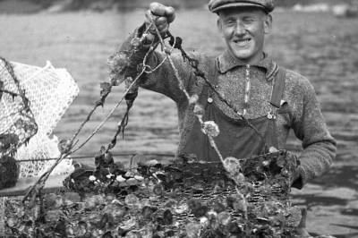 width=device-width, initial-scale=1