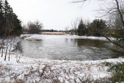Rystende tragedie: Tre brødre døde