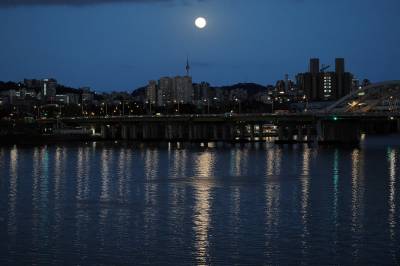 Verste dag på Seoul-børsen siden finanskrisen