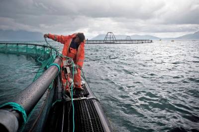 Lakseregulering på feil nivå