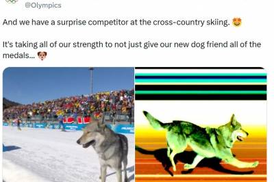 Den offisielle OL X-kontoen sletter i det stille det morsomme innlegget om den virale, men ganske farlige hundehendelsen