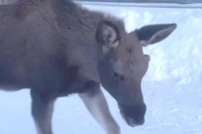 - Nå går du litt nærme meg