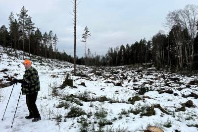 Hugst er ikke nedbygging av natur – det er forvaltning og skjøtsel av skogen
