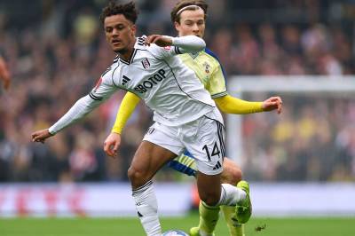 Fulham - VfB Stuttgart