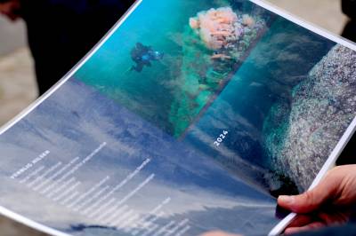 Stram inn i strandsonen!