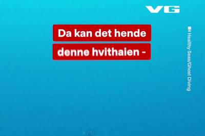 Så hvithai utenfor Italia