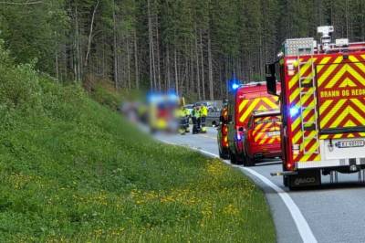 Døde etter å ha kollidert med elg
