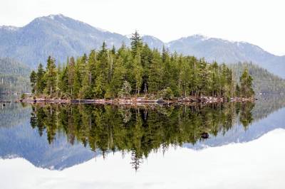 Vi bruker kunnskap om sårbart naturmangfold