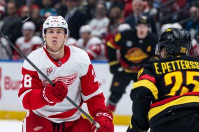 Brandsegg-Nygård med to assist i Red Wings-seier