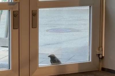 – Kan bli et sabla spetakkel