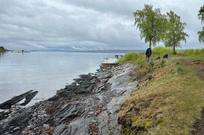 Det blir ikke renere Oslofjord uten statens hjelp