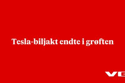 Tesla-biljakt endte i grøften