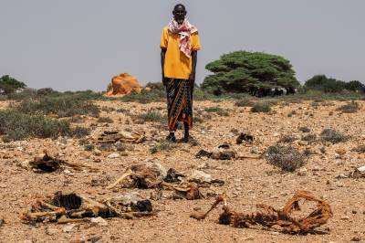 Fare for hungersnød i Somalia, advarer FN-eksperter