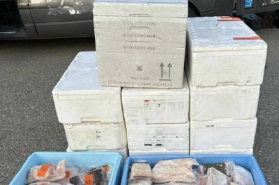 Smuglet fisk - fikk 224.000 i bot