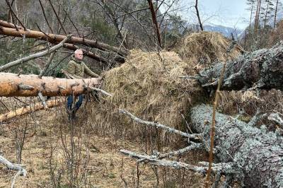 Se bildene: Tidenes ryddesjau er i gang