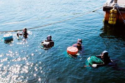 Hun byttet kontorjobben i Seoul med å fridykke etter østers og sjøpølser
