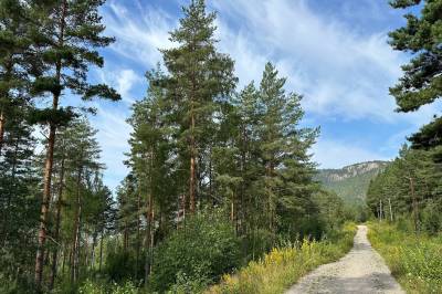 Kan Drammen bli en grønn kommune? Neppe med dagens politiske innstilling 