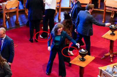 Ser du hvorfor bildet fra Stortinget får kritikk?