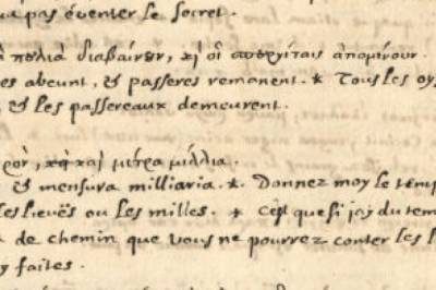 Norske forskere fant 90 ukjente greske visdomsord