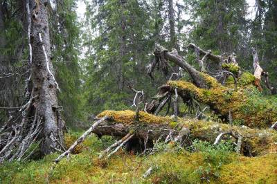 Klimastatus i Valdres i 2025