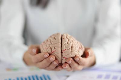 Uten søvn glemte musene alt – kan det hjelpe KI til å lære?