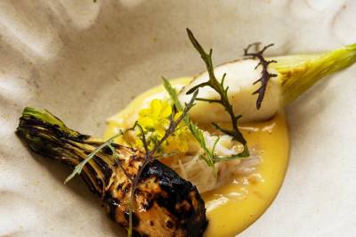 Taskekrabbe og testikler