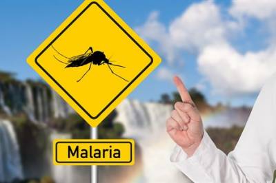En ny malariamygg sprer seg raskt i Afrikas byer