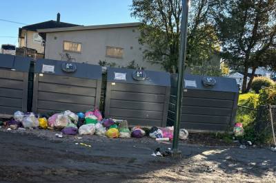 Nærmer seg 100 anmeldelser for forsøpling
