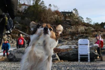 Kom seg ut og koste seg